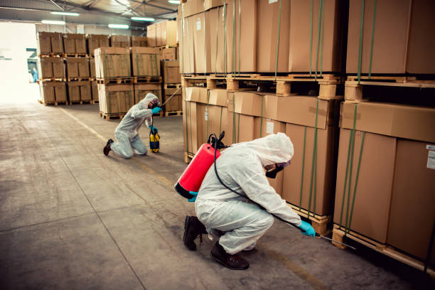 Wildlife Control Services in Post Falls, ID