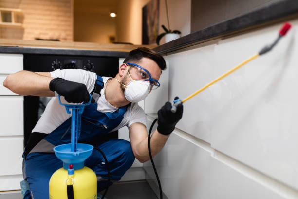 Best Affordable Pest Control Services  in Post Falls, ID