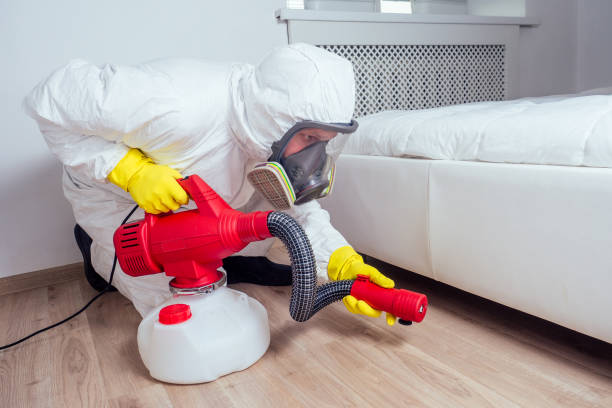 Best Pest Control Near Me  in Post Falls, ID