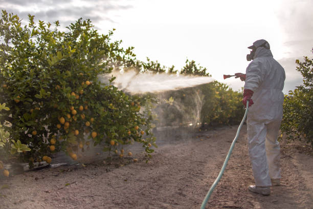 Wildlife Control Services in Post Falls, ID
