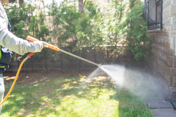 Trusted Post Falls, ID Pest Control Experts