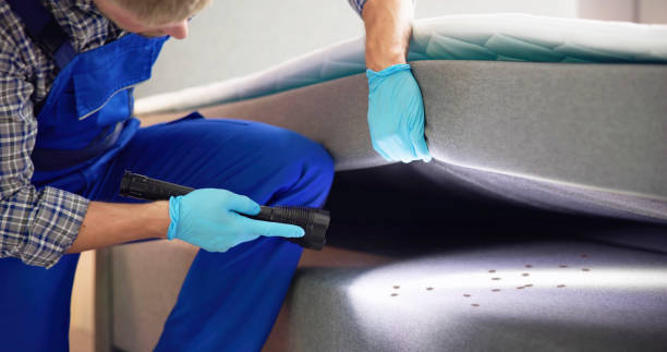 Best Ant Control Services  in Post Falls, ID