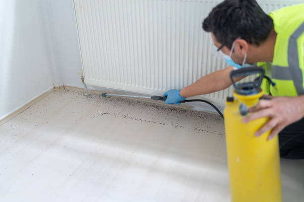 Best Mosquito Control Services  in Post Falls, ID